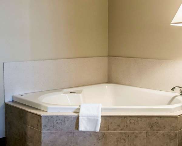  - Comfort Suites Forest Park