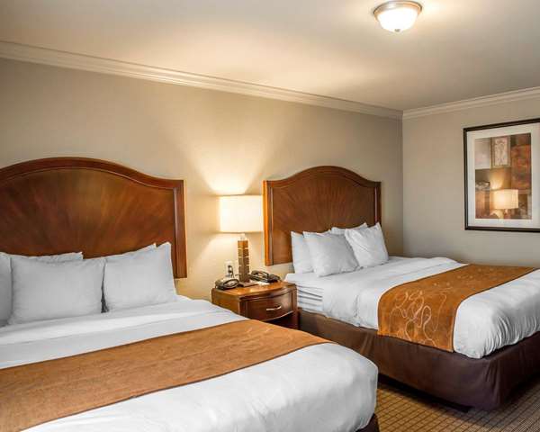  - Comfort Suites Forest Park