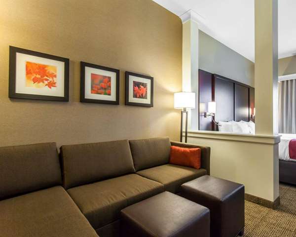  - Comfort Suites North Youngstown - I-80, Exit 229