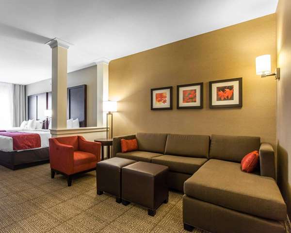  - Comfort Suites North Youngstown - I-80, Exit 229