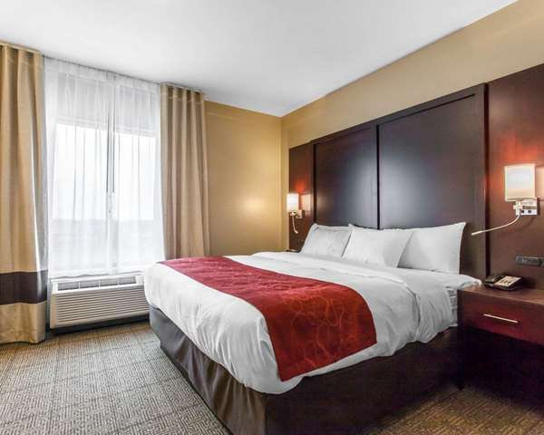 Suite - Comfort Suites North Youngstown - I-80, Exit 229