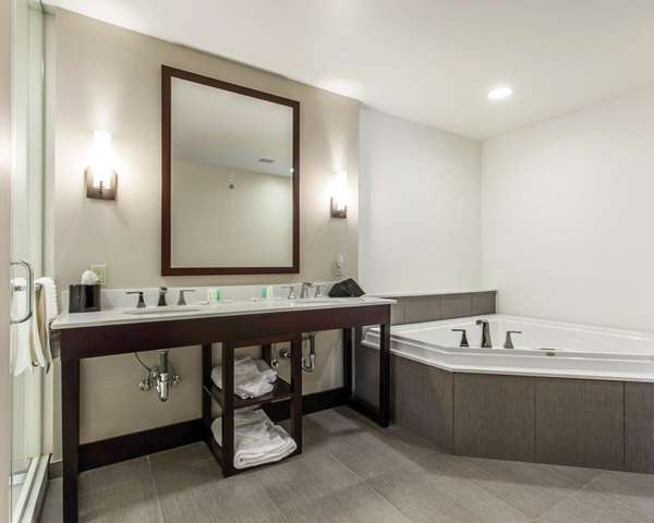 Suite - Comfort Suites North Youngstown - I-80, Exit 229