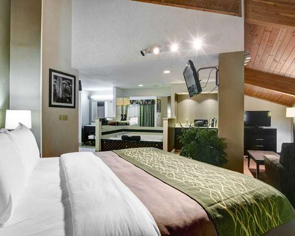 Suite - Comfort Inn Concord - I-90, Exit 200