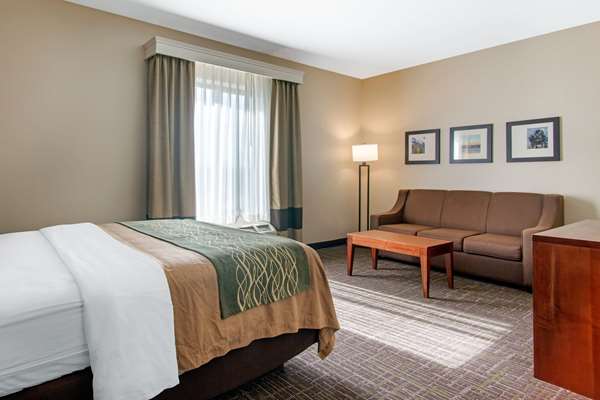 Suite - Comfort Inn & Suites Norman