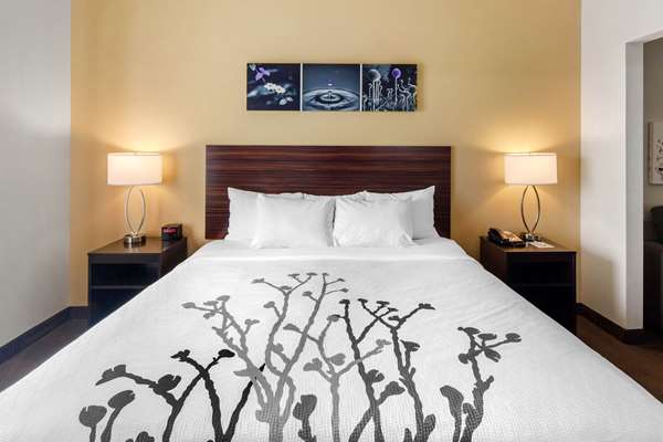 Suite - Sleep Inn & Suites Goldsby