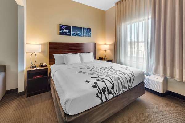 Suite - Sleep Inn & Suites Goldsby