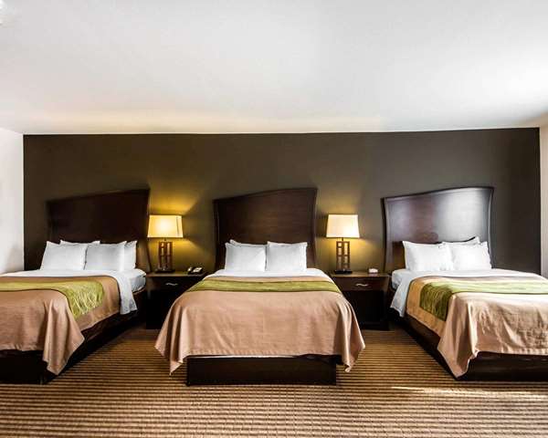 Suite - Comfort Inn & Suites Alva